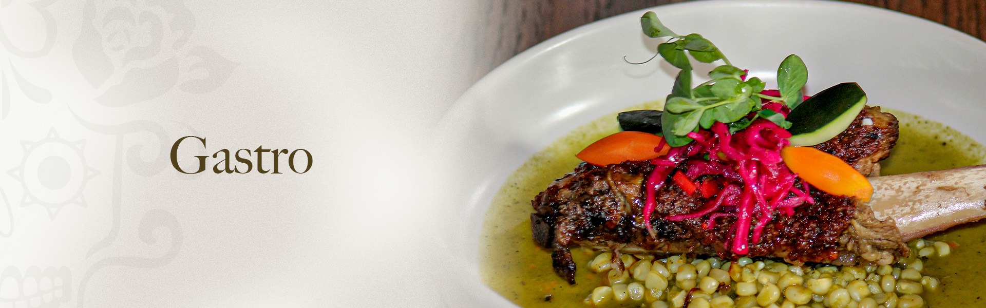 Gastro