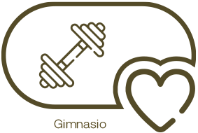 Gimnasio